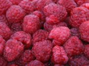 Tratament pentru afectiunile aparatului genital feminin– mladitele de zmeur tratament natural