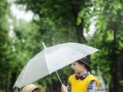 Stabilirea regulilor acasa printr-o educatie parentala de calitate stil parental