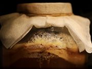 Beneficiile consumului regulat de kombucha Kombucha