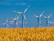 Descoperă puterea vântului: cum energia eoliană modelează viitorul sustenabil energia eoliana