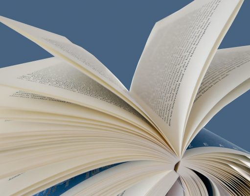 Întoarcerea ducelui – poveste captivantă înalta societate londoneză Întoarcerea ducelui