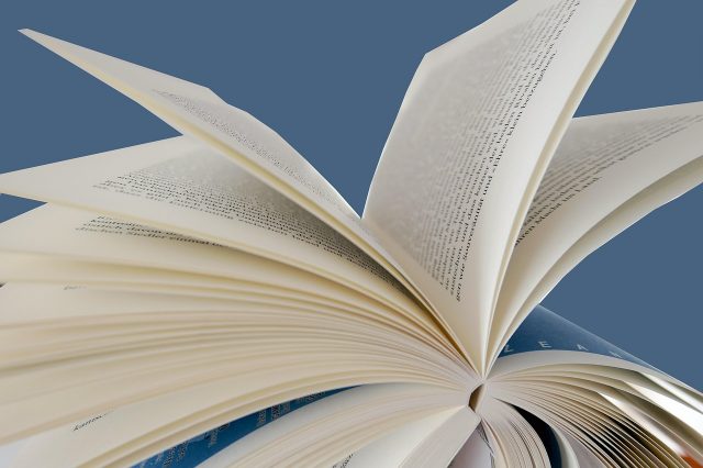 Întoarcerea ducelui