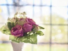 Ce este colesterolul și de ce contează pentru sănătate colesterol